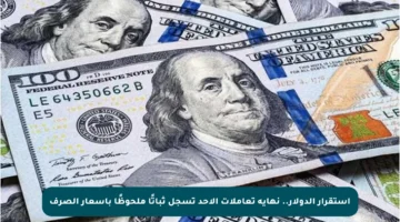 استقرار الدولار.. نهاية تعاملات الأحد تسجل ثباتًا ملحوظًا بأسعار الصرف